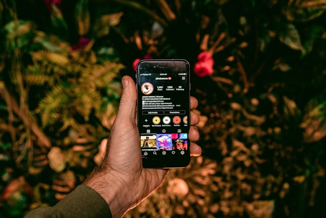 Buzzoid Alternative Review: Why SocialFuel Could Be a Better Choice in 2026